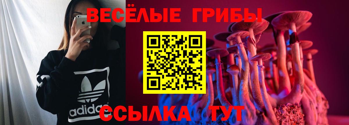 Галлюциногенные грибы Psilocybine cubensis  продажа наркотиков  Вход с VPN  Анапа  Псилоцибиновые грибы ЛСД 